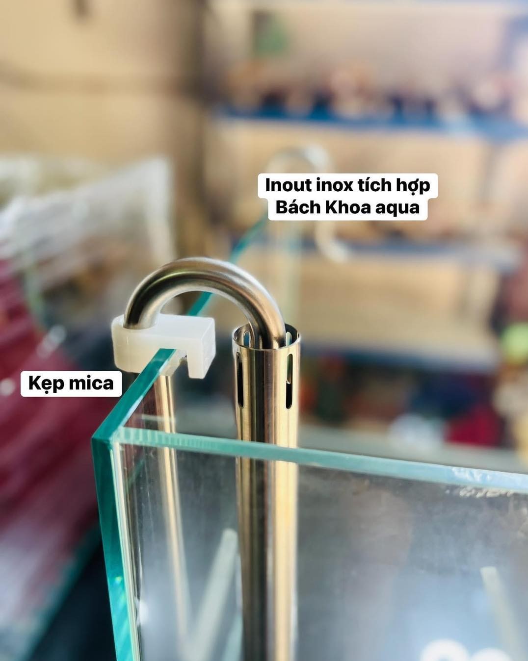 IN OUT Inox  lọc váng tích hợp đủ kích thước Fi12 / FI16 / Fi20
